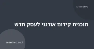 תוכנית עבודה שלבית לקידום אורגני של עסק חדש על לוח זמנים