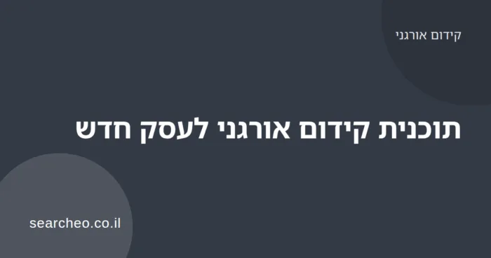 תוכנית עבודה שלבית לקידום אורגני של עסק חדש על לוח זמנים