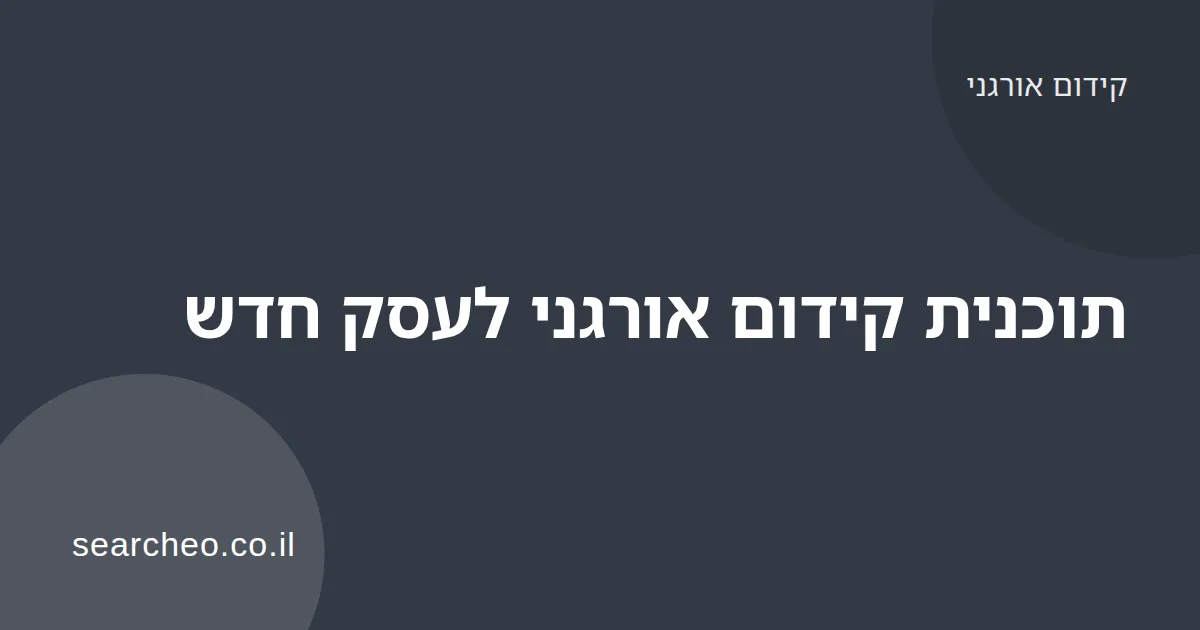 Read more about the article תוכנית קידום אורגני לעסק חדש: צעד אחר צעד
